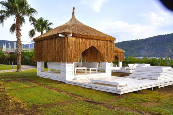 Hasır Kaplama ile Kamelya Dönüşümü