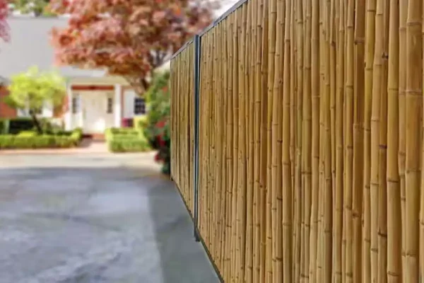 Kamış Hasır Çit ile Ekonomik Çözüm